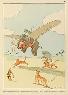 Airborne Collection: Airborne Animals