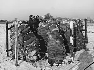 Defence Prints: Aircraft Observer Post, WWII