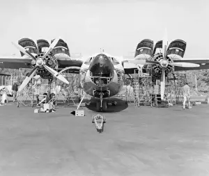 Airspeed AS-57 Ambassador