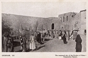 Al-Qurnah - Iraq - Temptation Square - Garden of Eden