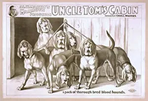 Al. W. Martins mammoth production, Uncle Toms cabin