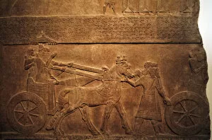 Assyrian Gallery: Alabaster panel of king Tiglath-Pileser III