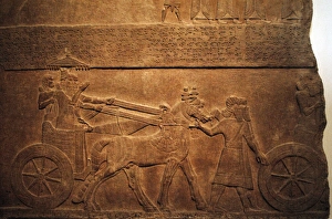 Cuneiform Gallery: Alabaster panel of king Tiglath-Pileser III