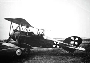 Albatros Collection: Albatros C IX used by Manfred von Richthofen