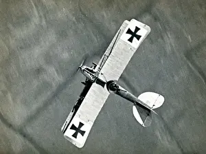 Albatros CIII