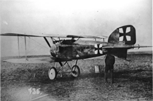 German Albatros, 1917