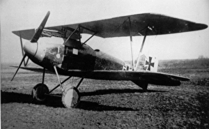 German Albatros, 1917