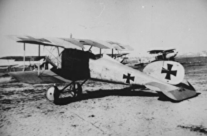 German Albatros, 1917