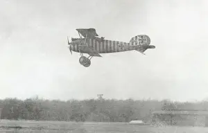 Albatros D. V