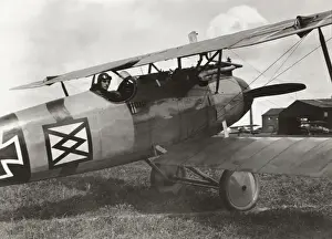 Albatros D. V