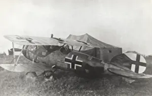 Albatros D. V