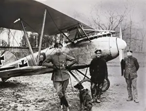 Albatros D. V