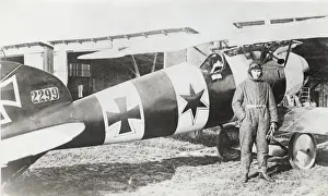 Albatros D. V