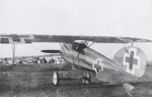 Albatros D. V