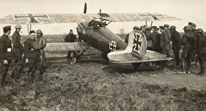 Albatros D. V