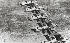 Albatros D. V