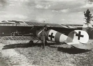 Albatros D. V