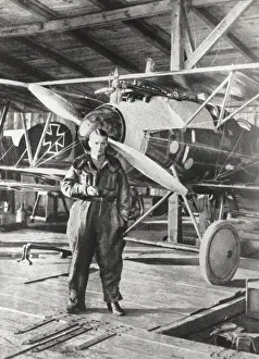 Albatros D. V