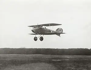 Albatros D. V