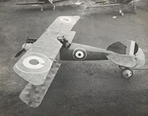 Albatros D. V