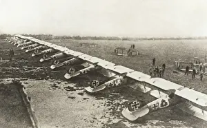 Albatros D. V