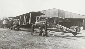 Albatros D. V
