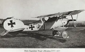 Albatros D. V