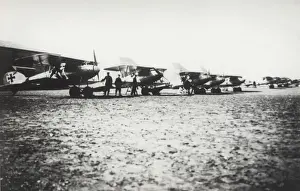 Albatros D. V