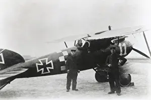 Albatros D. V