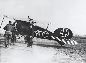 Albatros D. V