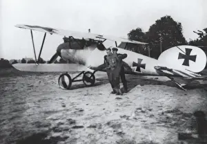 Albatros D. V
