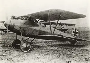 Albatros D. V