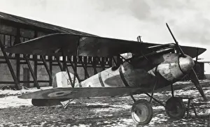 Albatros D. V