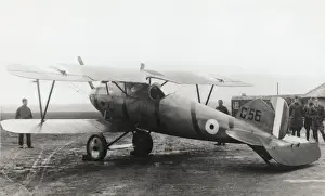 Albatros D. V