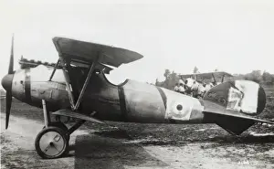 Albatros D. V