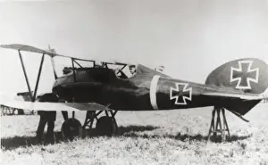 Albatros D. V