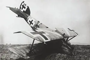 Albatros D. V