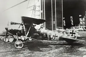 Albatros D. V