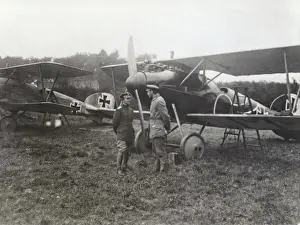 Albatros D. V