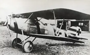 Albatros D. V