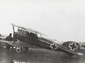 Albatros D. V