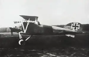 Albatros D. V