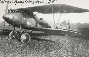 Albatros D. V