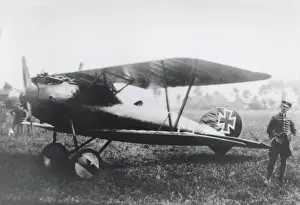 Albatros D. V