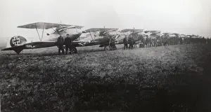 Albatros D. V