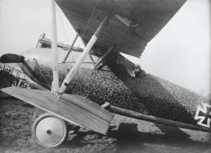 Albatros D. V