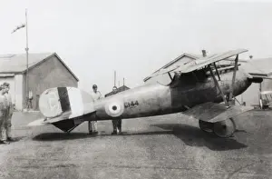 Albatros D. V