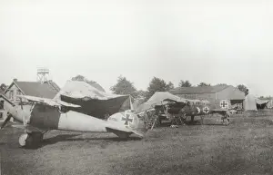 Albatros D. V