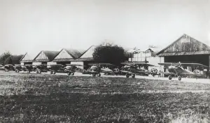 Albatros D. V