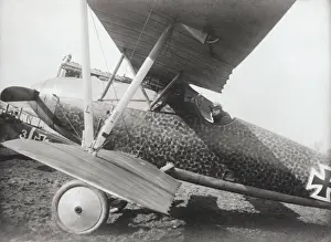 Albatros D. V